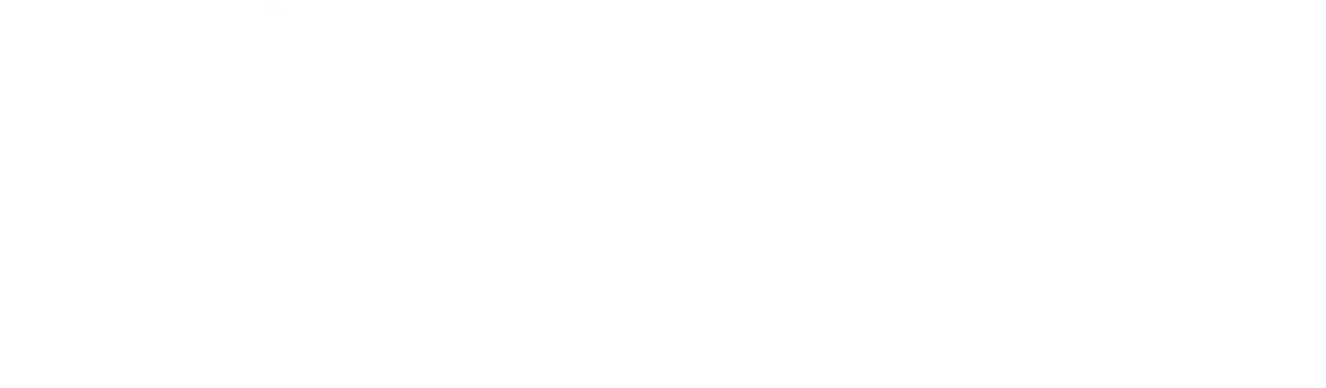 writeawish logo